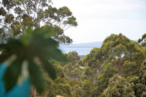 The Floating Forest - Nambucca Heads Accommodation 8