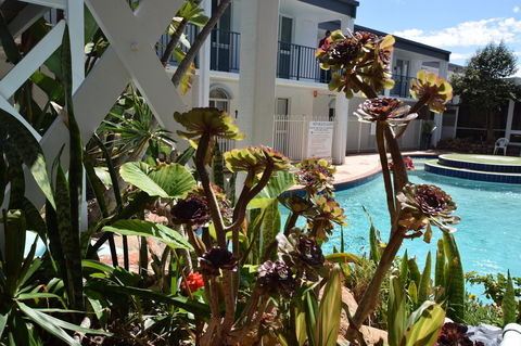 West Beach Lagoon 220 Stylish And Cozy - Nambucca Heads Accommodation 18