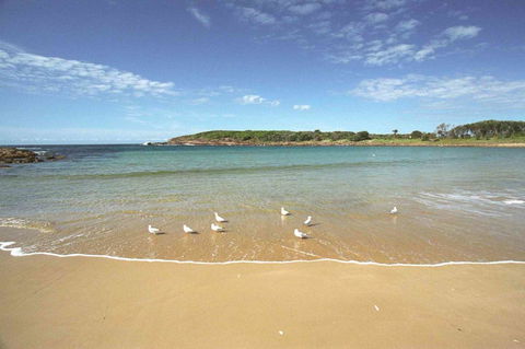 On The Beach Getaway - Nambucca Heads Accommodation 12
