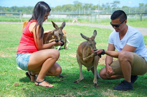On The Beach Getaway - Nambucca Heads Accommodation 25