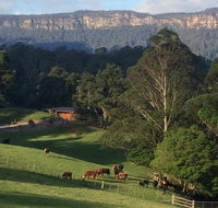 Amaroo Valley Springs - Nambucca Heads Accommodation