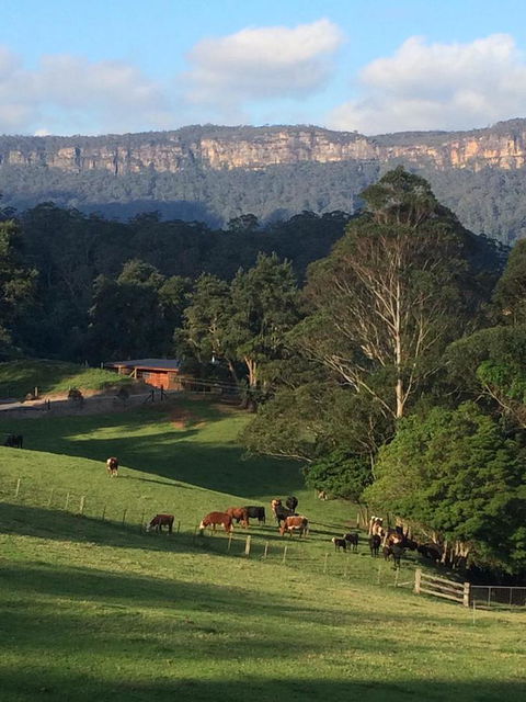 Amaroo Valley Springs - Nambucca Heads Accommodation 0