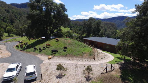Amaroo Valley Springs - Nambucca Heads Accommodation 19