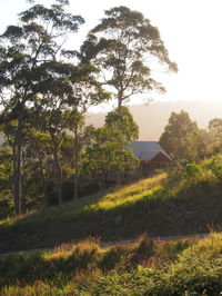Book Bawley Point Accommodation Vacations Nambucca Heads Accommodation Nambucca Heads Accommodation