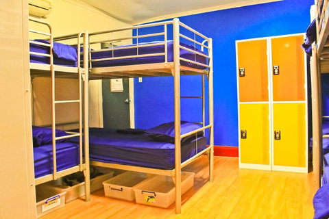 Mad Monkey Kings Cross - Nambucca Heads Accommodation 31