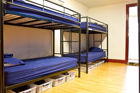Mad Monkey Kings Cross - Nambucca Heads Accommodation 23