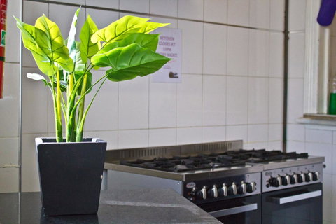 Mad Monkey Kings Cross - Nambucca Heads Accommodation 19