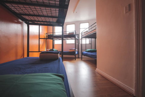 Mad Monkey Kings Cross - Nambucca Heads Accommodation 28