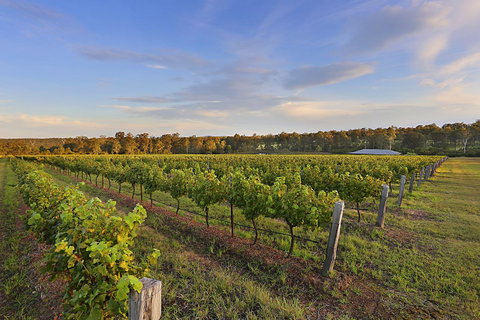 Ironstone Estate Lovedale - Nambucca Heads Accommodation 31