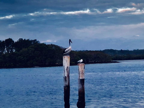 Boathouse Resort (Water Front) - Nambucca Heads Accommodation 15