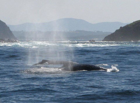 Boathouse Resort (Water Front) - Nambucca Heads Accommodation 26