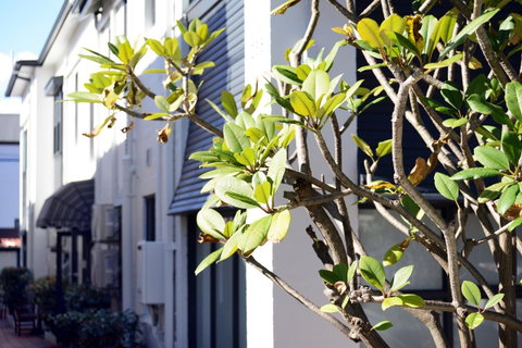 Avoca Randwick By Sydney Lodges - Nambucca Heads Accommodation 34
