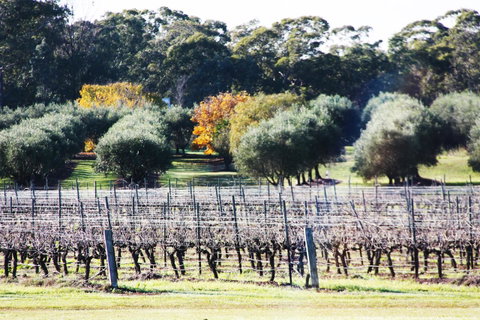 Adina Vineyard - Nambucca Heads Accommodation 15