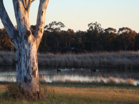 Adina Vineyard - Nambucca Heads Accommodation 10