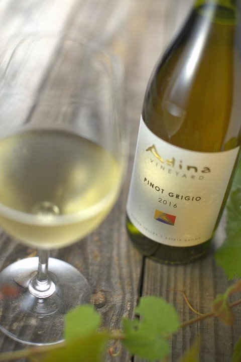 Adina Vineyard - Nambucca Heads Accommodation 7