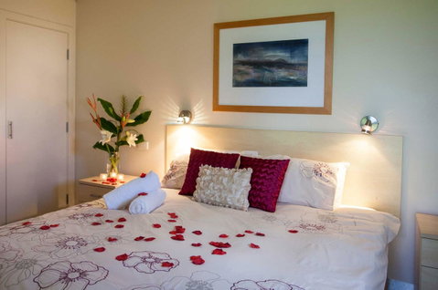 Adina Vineyard - Nambucca Heads Accommodation 1