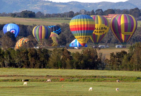 Adina Vineyard - Nambucca Heads Accommodation 9