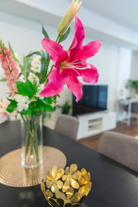 Sydney CBD Brand New Apartments With Hyde Park View - Nambucca Heads Accommodation 6