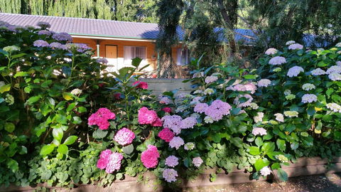 Moruya Motel - Nambucca Heads Accommodation 28