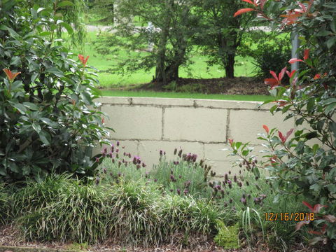 Moruya Motel - Nambucca Heads Accommodation 16