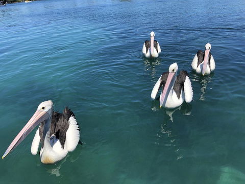 Aquarius 9 - Nambucca Heads Accommodation 4