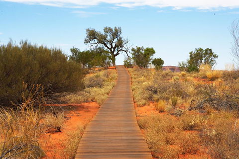 Discovery Resorts - Kings Canyon - Nambucca Heads Accommodation 27