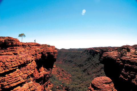 Discovery Resorts - Kings Canyon - Nambucca Heads Accommodation 38