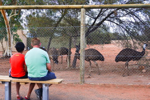 Erldunda Desert Oaks Resort - Nambucca Heads Accommodation 21