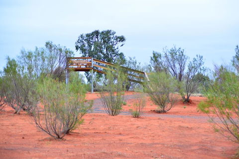Erldunda Desert Oaks Resort - Nambucca Heads Accommodation 42