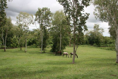 Mount Bundy Station - Nambucca Heads Accommodation 25