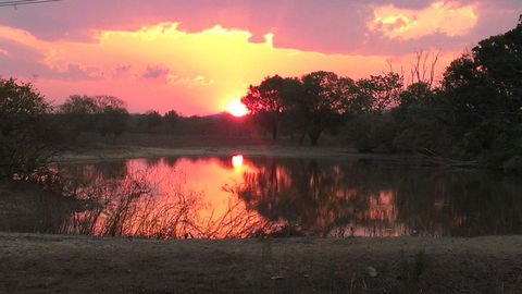 Mount Bundy Station - Nambucca Heads Accommodation 20
