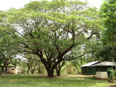 Mount Bundy Station - Nambucca Heads Accommodation 26