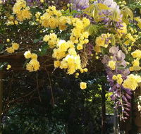 Bowral Road Bed and Breakfast - Nambucca Heads Accommodation