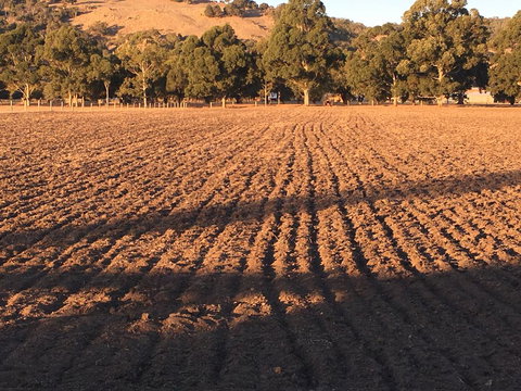 Braybrook Boutique BnB - Nambucca Heads Accommodation 1