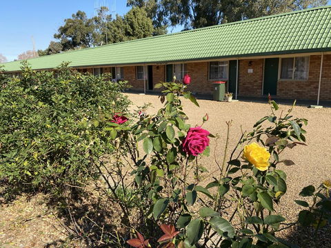 Bridge Motel Wellington - Nambucca Heads Accommodation 1