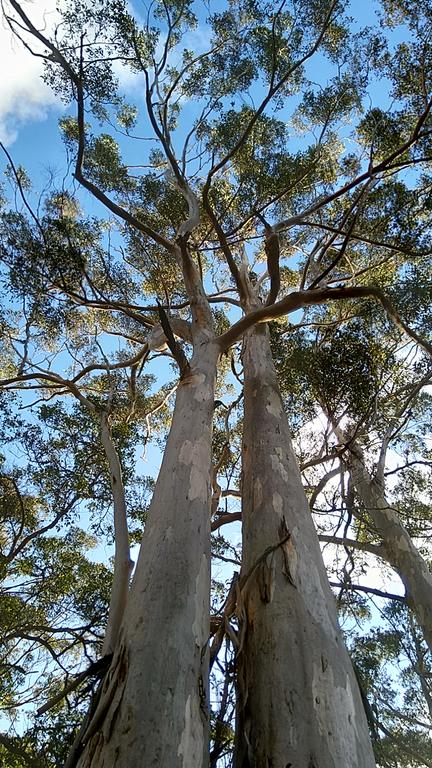 Broxholme B&B - Nambucca Heads Accommodation 3