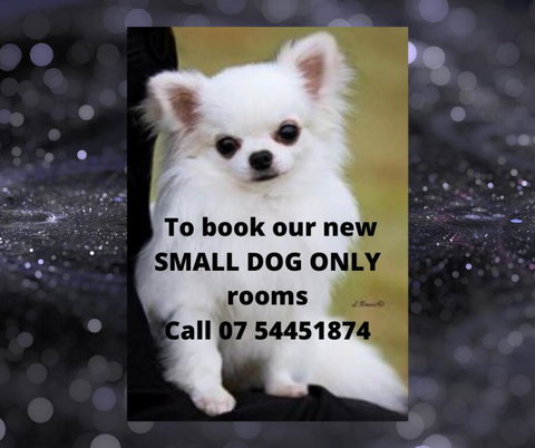 Buderim Fiesta Motel - Nambucca Heads Accommodation 0