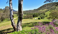 Book Capertee Accommodation Vacations Nambucca Heads Accommodation Nambucca Heads Accommodation