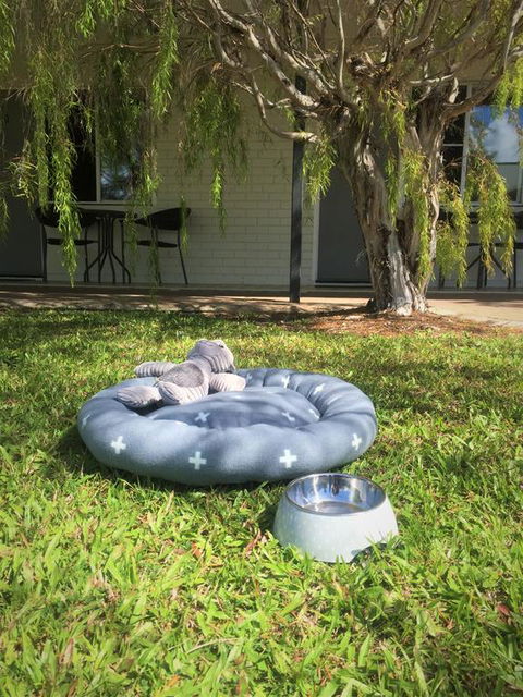 Cardwell At The Beach - Nambucca Heads Accommodation 3