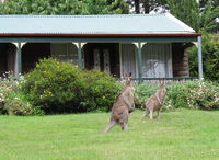 Book Mount Victoria Accommodation Vacations Nambucca Heads Accommodation Nambucca Heads Accommodation