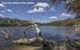 Centre Street 10 Lake Tabourie - thumb 1