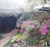 Charming country house close to Grafton - Nambucca Heads Accommodation
