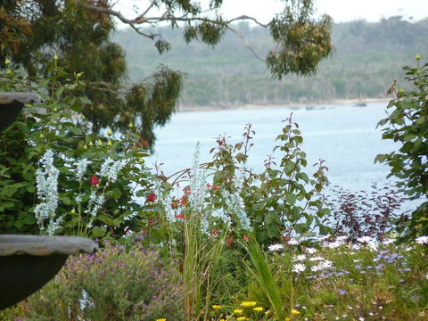 Clovelly Cottage - Nambucca Heads Accommodation 3