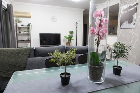 Comfort HS Apartment - Darling Harbour - Nambucca Heads Accommodation 2