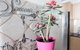 Comfort HS Apartment - Darling Harbour - thumb 1
