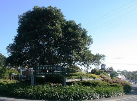 Cooroy Luxury Motel Apartments - Nambucca Heads Accommodation 2