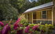 Creek Cottage - thumb 1