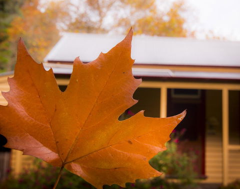 Creek Cottage - Nambucca Heads Accommodation 3
