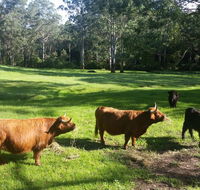 Dingley Dell - Nambucca Heads Accommodation