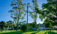 Book Dorrigo Accommodation Vacations Nambucca Heads Accommodation Nambucca Heads Accommodation